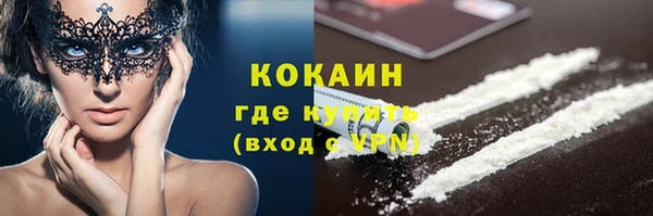 сатива Аркадак