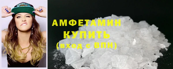 шишки Заволжье
