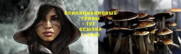метадон Арсеньев
