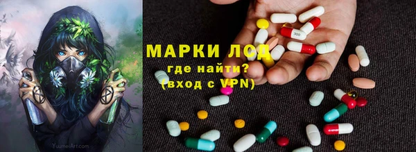 сатива Аркадак