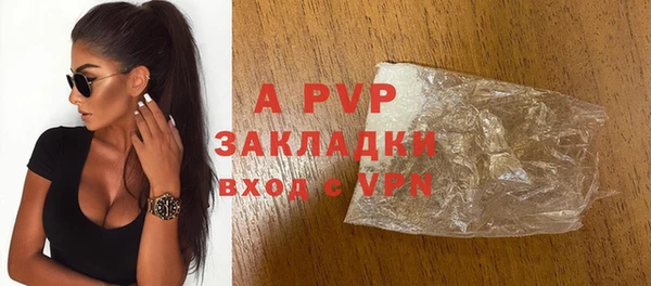 сатива Аркадак