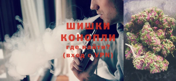 сатива Аркадак
