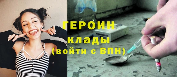 сатива Аркадак