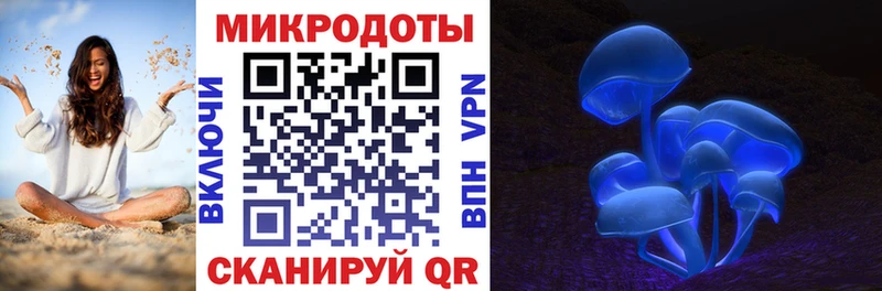 Псилоцибиновые грибы Psilocybe  сайты даркнета формула  Слюдянка  ОМГ ОМГ рабочий сайт 